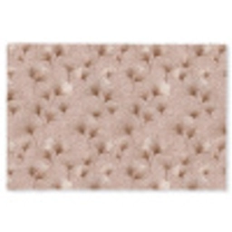 Ginkgo - Patroon - Roze Vloerkleed Rechthoek klein 1091 -3d