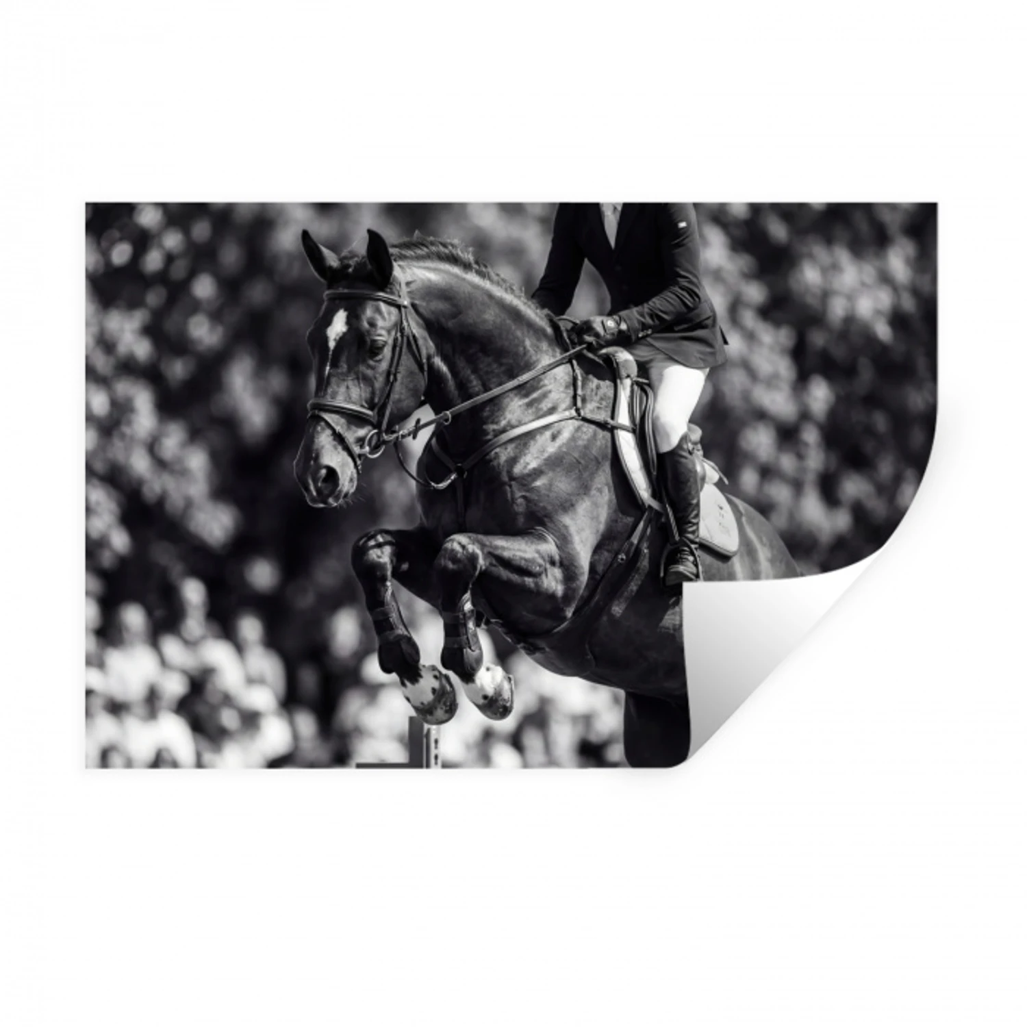 Springen - Paard - Zwart - Wit Muursticker klein -3d