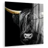Schotse hooglander - Goud - Vacht - Dieren - Koe plexiglas 5mm klein -zzzproduct_nieuw
