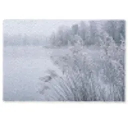 Riet - Bevroren - Winter - Natuur Deurmat klein -zkaufland3d