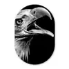 Adelaar - Portret - Roofvogels - Zwart - Wit - Vogel Wandcirkel Ovaal Forex klein -3d