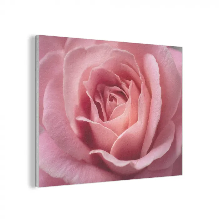 Roze - Roos - Romantisch PET vilt klein -3d