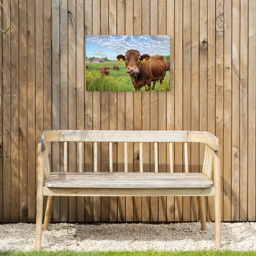 Koe - Weide - Bloemen Tuinposter op houten frame 2 cm dik klein -sfeer4