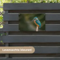 Vogel - IJsvogel - Tak tuinposter los doek klein -sfeer3