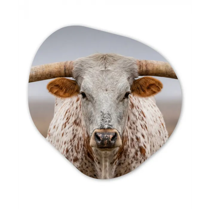 Longhorn - Grasveld - Dier Wandcirkel Organisch Aluminium middel -3d