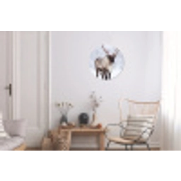 Rendier - Gewei - Toendra - Sneeuw - Wild Wandcirkel aluminium klein -woonkamer