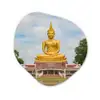 Boeddha - Buddha beeld - Goud - Religie Wandcirkel Organisch Forex 3mm klein -3d