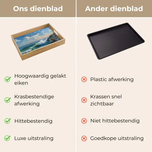Zee - Golven - Rotsen - Meeuwen Dienblad Rechthoek middel -USP_VergelijkingNL
