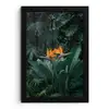 Paradijsvogel - Bloem - Exotisch fotolijst zwart zonder passe partout klein -3d