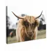 Schotse Hooglander -  Koe - Gras - Dieren - Natuur Tuinposter op houten frame 2 cm dik klein -3d