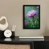 Aster - Paars - Bloem - Blaadjes fotolijst zwart zonder passe partout klein -sfeer1
