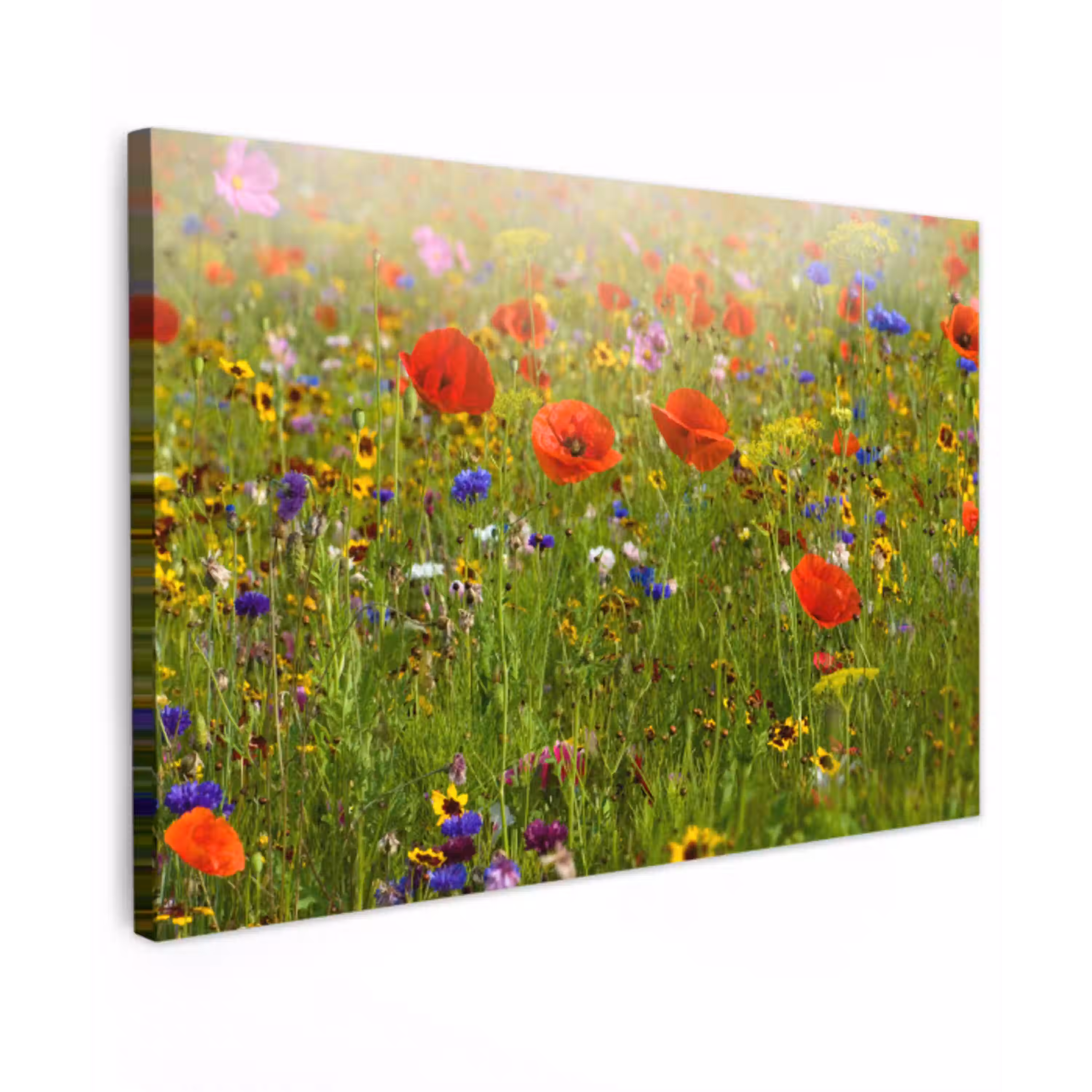Lente - Bloemen - Rood - Klaproos - Gras - Groen Tuinposter op houten frame 2 cm dik klein -3d