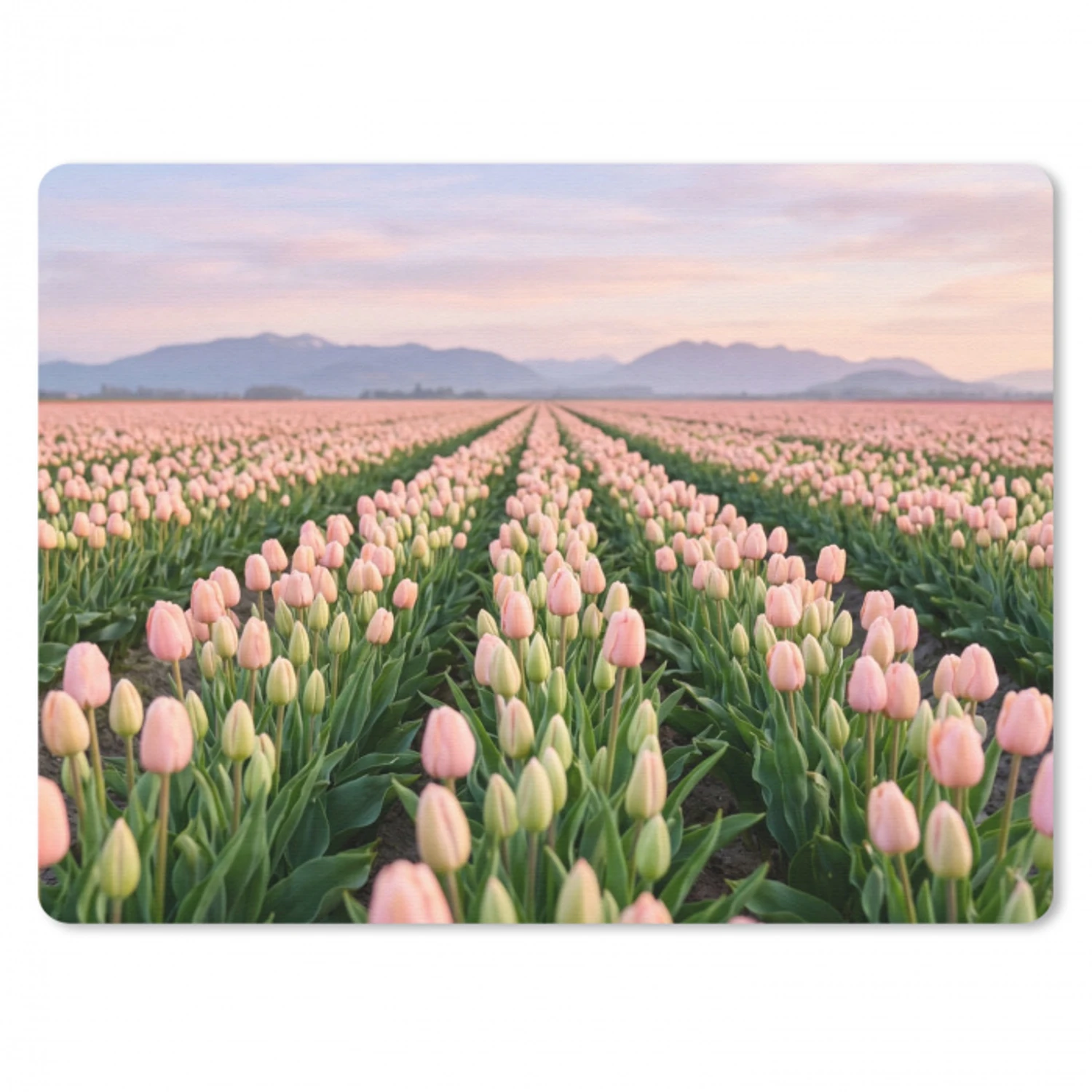 Tulpen - Landschap - Roze muismat rubber klein -3d