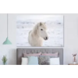 Paard - Kop - Winter - Dieren - Wit forex 5mm xxl -slaapkamer