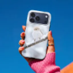 Vogeltje - Sneeuw - Tak - Winter - Zacht Toughcase MagSafe Apple iPhone 17 Pro Max klein -Sfeer1V