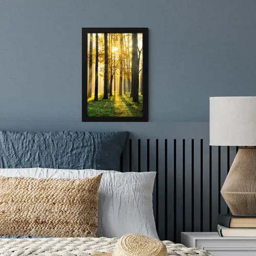 Bos - Zon - Bomen - Gras - Landschap  - Natuur fotolijst zwart zonder passe partout klein -sfeer3