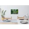 Brug - Hout - Vijver - Waterlelies Muursticker klein -eettafel
