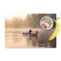 Eenden - Water - Mist - Natuur Placemat vinyl groot -zzzproduct_Kitchenyeah-website