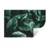 Jungle - Bladeren - Tropisch - Planten - Natuur Muursticker klein -3d
