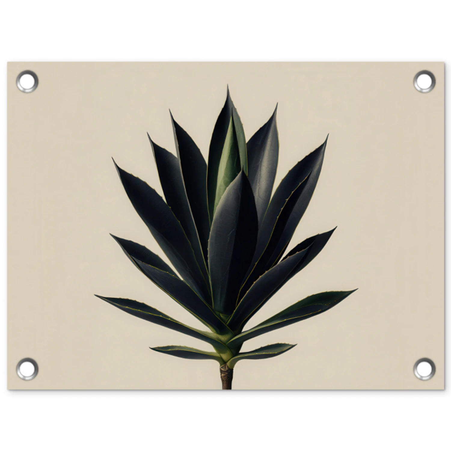 Agaveplant - Symmetrisch - Groen tuinposter los doek klein -3d
