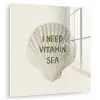 Schelp - Quote - Groen plexiglas 5mm klein -zzzproduct_nieuw