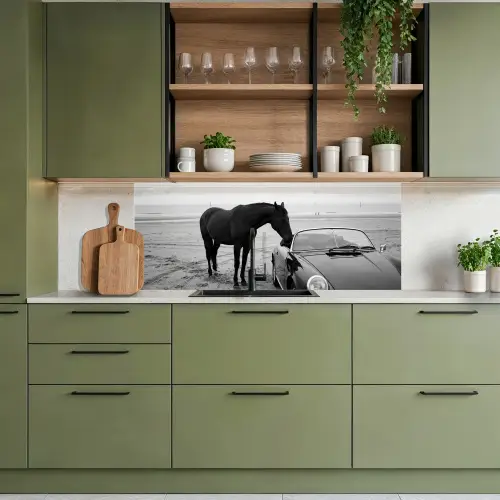 Paard - Auto - Zwart - Wit keuken achterwand 2 middel -sfeer3