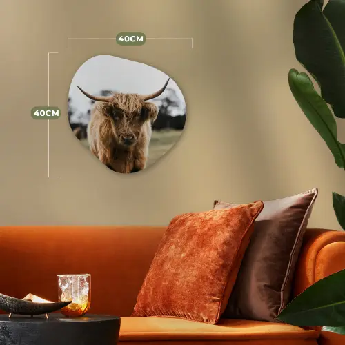 Schotse Hooglander -  Koe - Gras - Dieren - Natuur Wandcirkel Organisch Forex 3mm klein -sfeer3