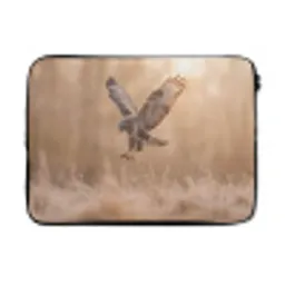 Buizerd - Roofvogel - Natuur - Bruin laptophoes neopreen klein -3d