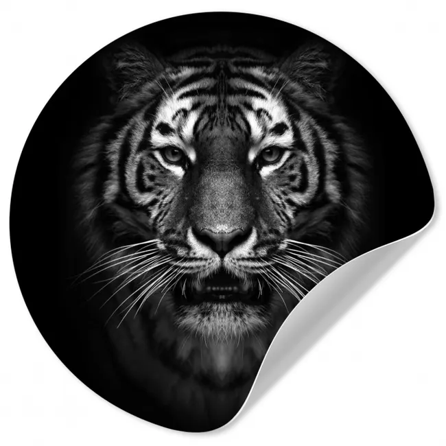 Tijger - Dieren - Zwart - Wit - Portret - Wild Wandcirkel behangsticker klein -3d