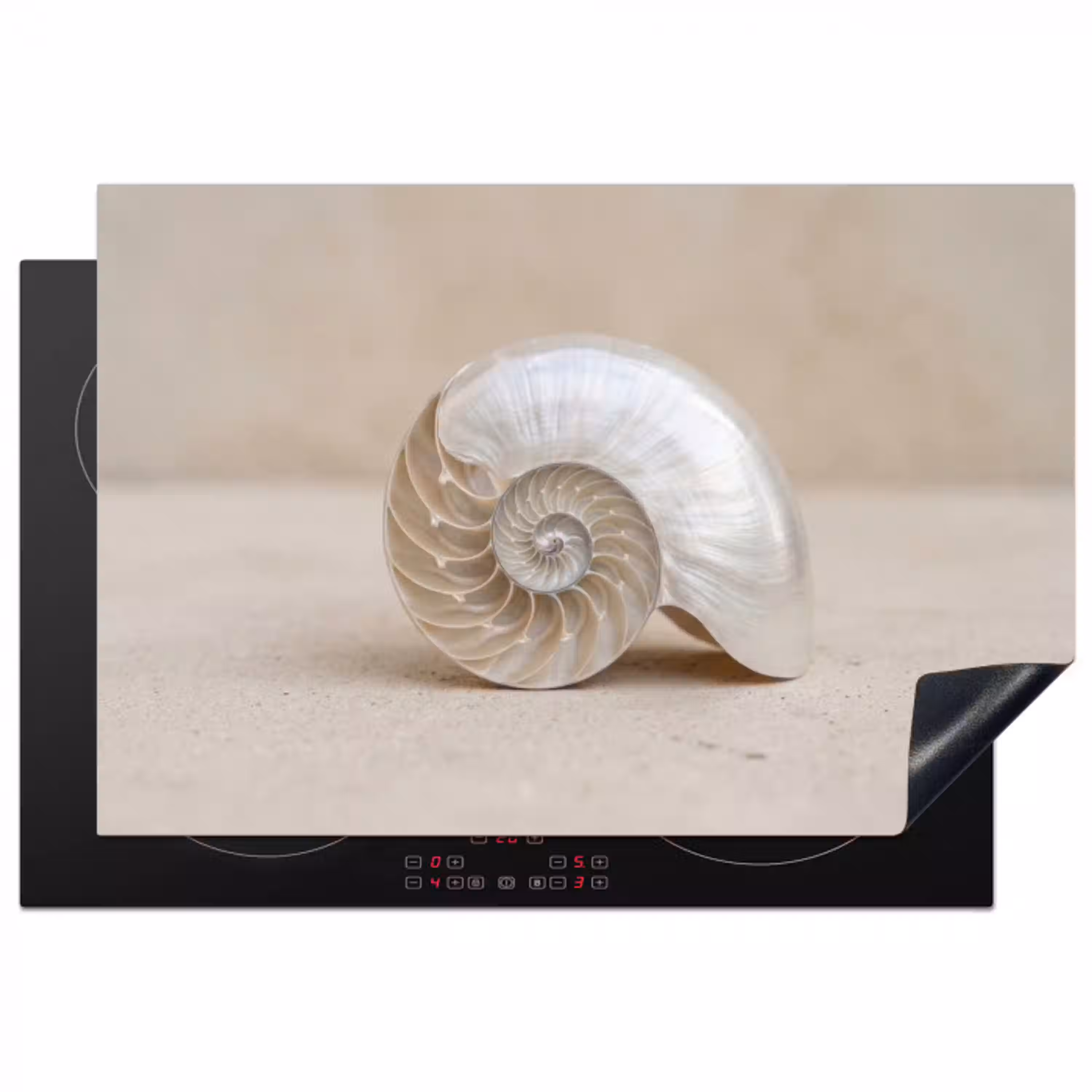 Schelp - Spiraal - Beige Inductie beschermer vinyl 3mm klein -3d