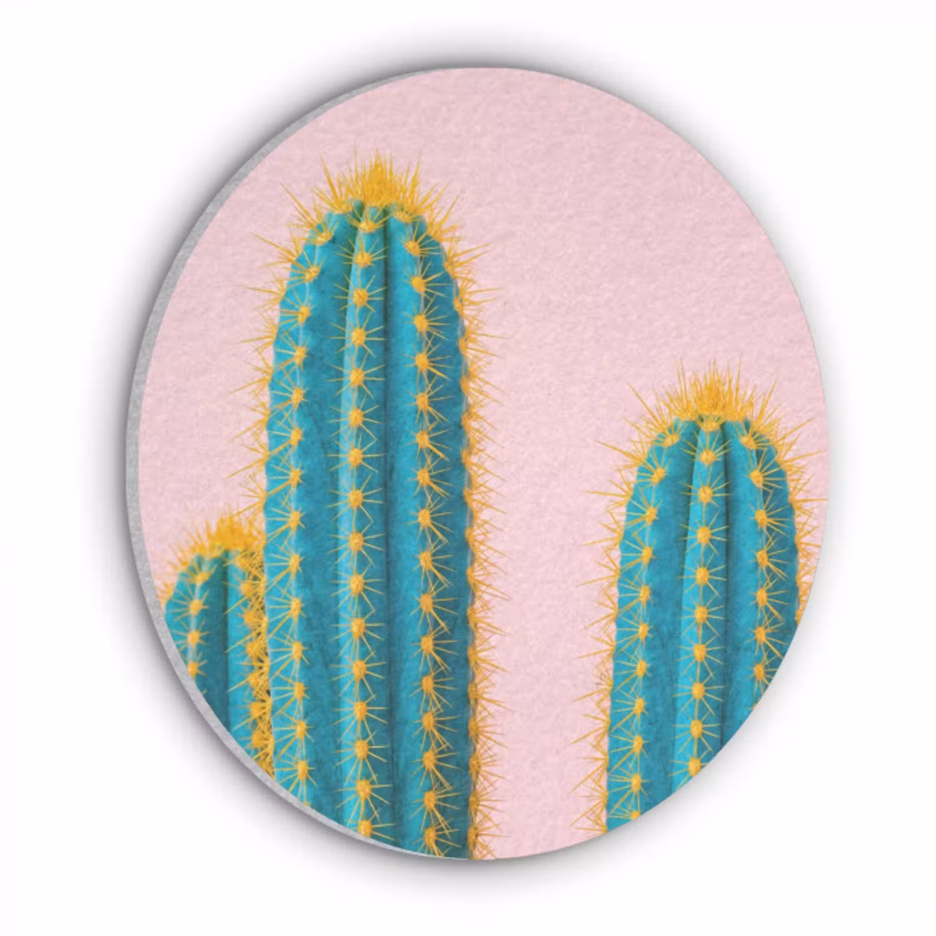 Cactussen - Modern - Pastel Akoestische PET Vilt - Rond klein -3d