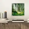 Natuur - Bomen - Bos - Groen - Zon - Gras - Planten plexiglas 5mm klein -sfeer1