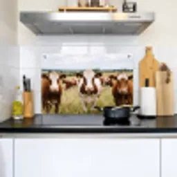 Koeien - Portret - Weide - Boerderij - Nieuwsgierig Inductie beschemer met haakjes klein -sfeer2