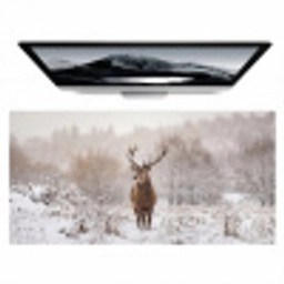 Edelhert - Bos - Sneeuw - Winter - Majestueus Muismat XXL klein -zzz3d
