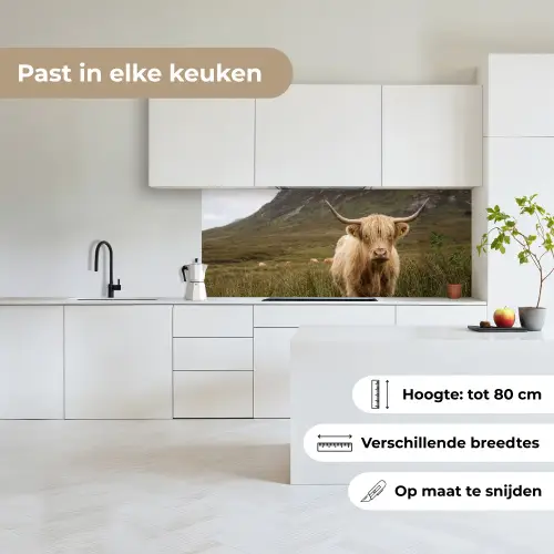 Schotse hooglander - Bergen - Grasveld keuken achterwand 2 middel -sfeer4_NL