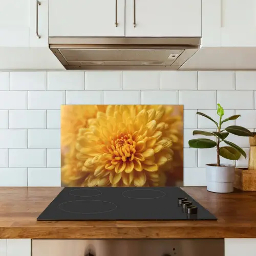 Geel - Chrysant - Zachtheid keuken achterwand spatscherm klein -sfeer2