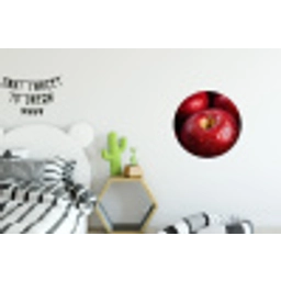 Rood - Appels - Fruit Wandcirkel aluminium klein -kinderkamer