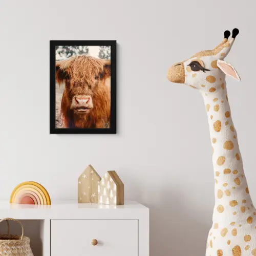 Koe- Schotse hooglander - Hoorns - Bruin - Landschap fotolijst zwart zonder passe partout klein -usfeer4_kinderkamer