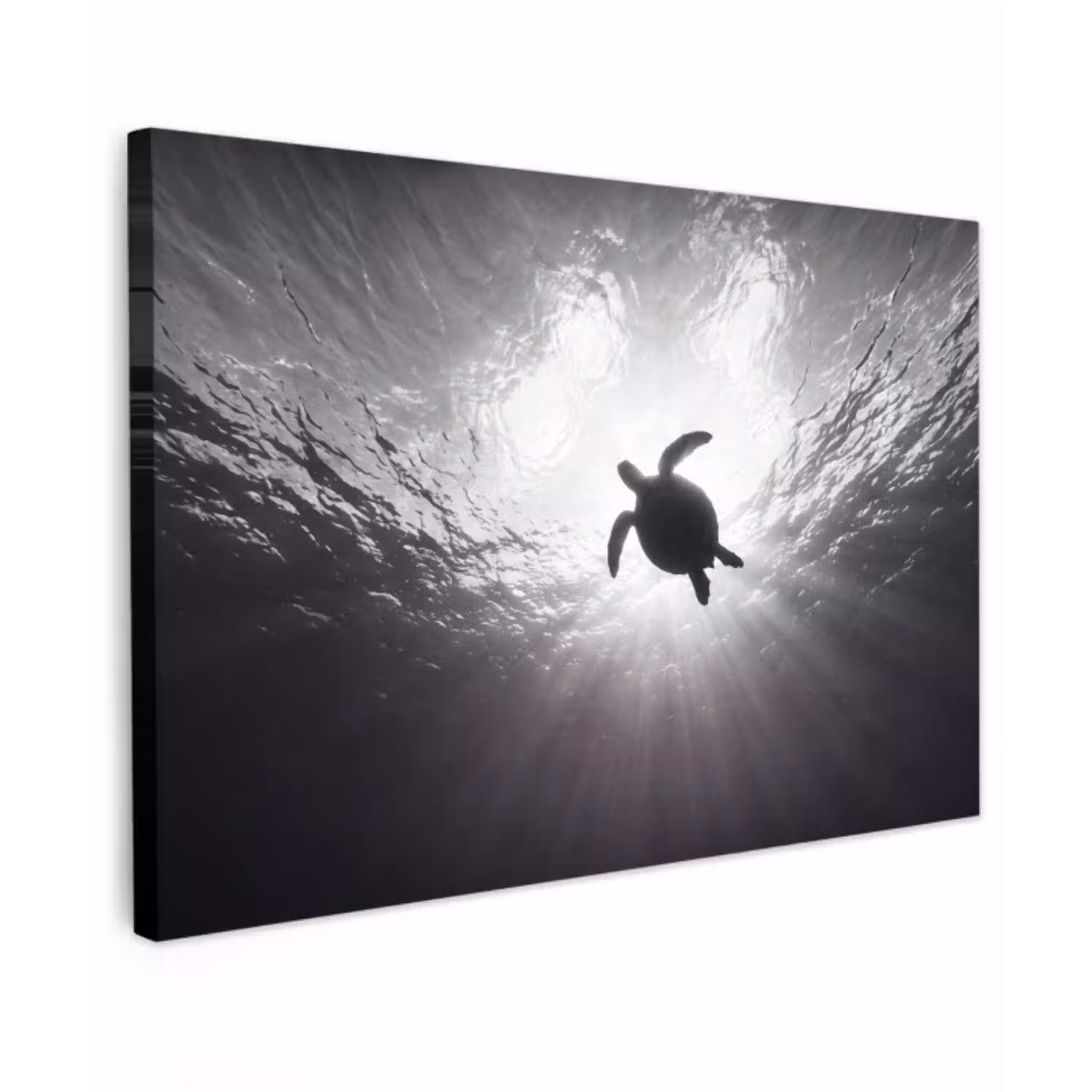 Schildpad - Onderwater - Lichtstralen - Oceaan - Zwart-wit Tuinposter op houten frame 2 cm dik klein -3d