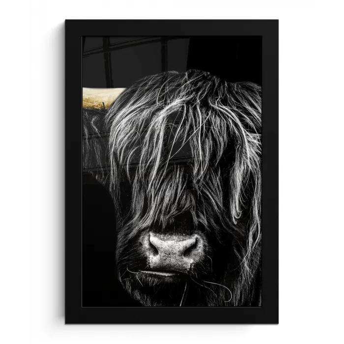 Schotse hooglander - Goud - Vacht - Dieren - Koe fotolijst zwart zonder passe partout klein -3d