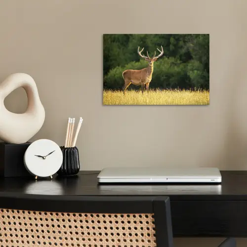 Hert - Gewei - Gras - Natuur - Dieren - Groen poster papier klein -sfeer1
