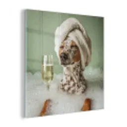 Hond - Bad - Champagne - Handdoek plexiglas 5mm klein -z3d