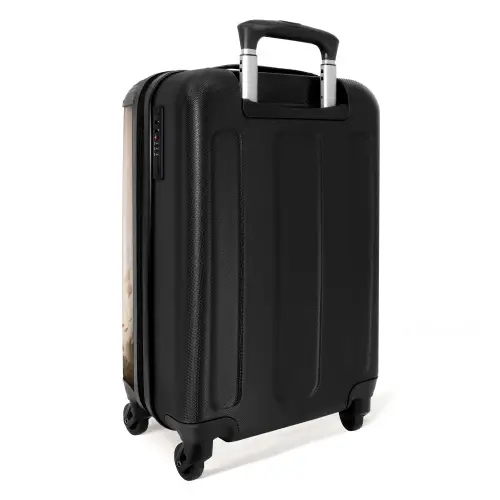 Ludo leeuw Koffer - NBS - Handbagage middel -achterkant