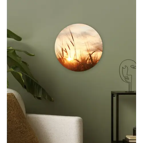 Riet - Gras - Zonsondergang - Natuur - Horizon Wandcirkel kunststof plaat 5mm dik klein -sfeer3