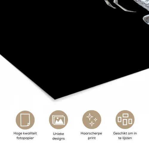 Kreeft - Zilver - Metallic - Luxe poster papier klein -closeup_NL