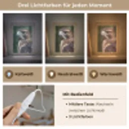 Buizerd - Roofvogel - Natuur - Bruin Light Box met kabel (Kinderlampje) klein -USP_lichtkleurDE