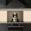 Kat - Kokskleding - Zwart - Wit keuken achterwand spatscherm klein -sfeer1