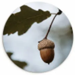 Eikel - Eikenblad - Bos - Herfst - Natuur Wandcirkel kunststof plaat 5mm dik klein -3d