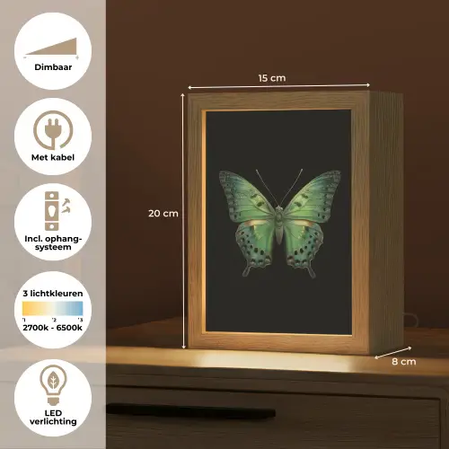 Vlinder - Groen - Diepte Light Box met kabel (Tafellamp) klein -USP_NL