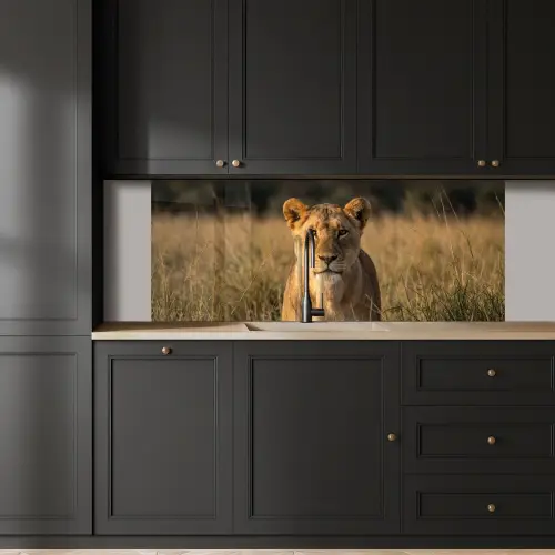 Leeuwin - Gras - Geel keuken achterwand 2 middel -sfeer1